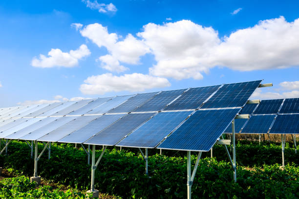 istock Clean solar panels and beautiful natural landscape 1332497634
