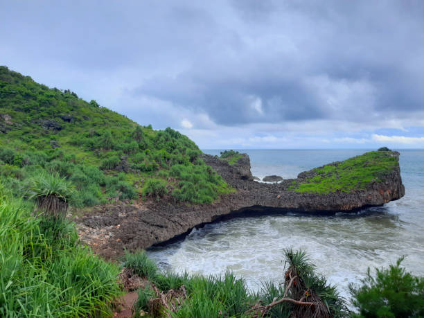 istock High angle view from a rocky lagoon beach with a cliff. 1332499934