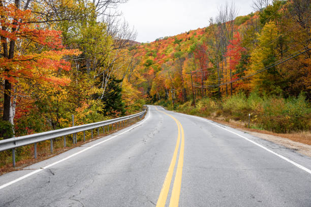 istock Deserted mountain road through a colourful forest in autumn 1332500621