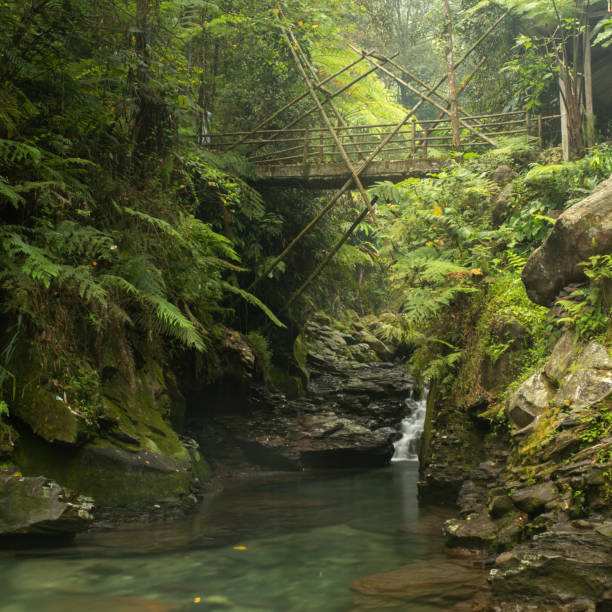 istock Waterfall Nature Forest in Bogor Indonesia 1332500871