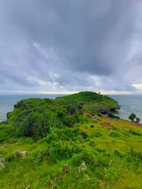 istock High angle view from a rocky beach with a cliff. 1332502283