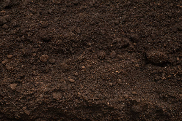 istock Black land for plant background. Top view. 1332505806