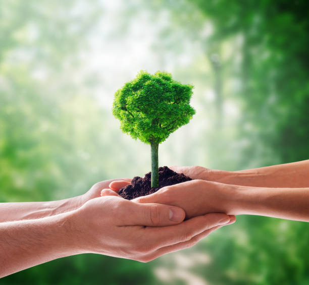 istock Ecology, protection of natural environment, environmental conservation concept. 1332505959
