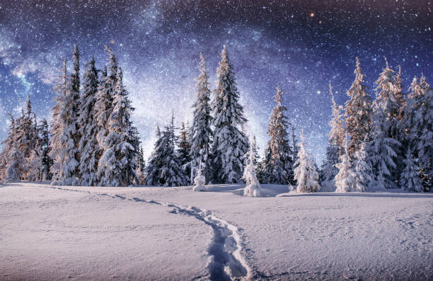 istock Majestic landscape with forest at winter time. Scenery background 1332506743