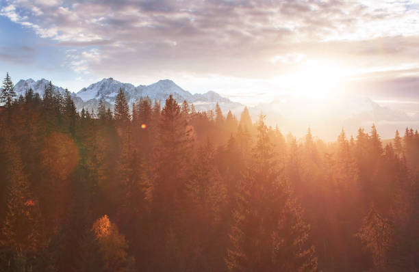 istock Majestic landscape with forest at spring time. Scenery background 1332506777
