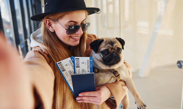 Young female passenger in warm clothes holding tickets and cute dog in hands in airport hall stock photo