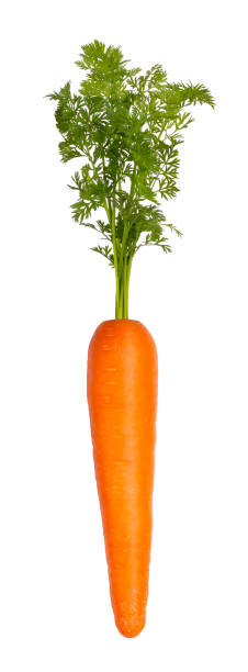 istock Carrot isolated on white background close up 1332513560