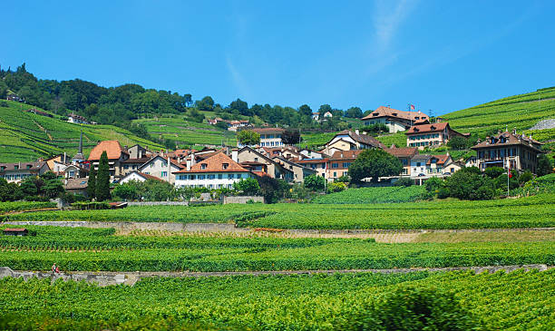 istock Lavaux vineyards, Switzerland 133251366