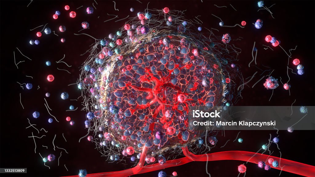 Tumor microenvironment 3D rendering of the tumor microenvironment Tumor Stock Photo Tumor microenvironment 3D rendering of the tumor microenvironment Tumor Stock Photo