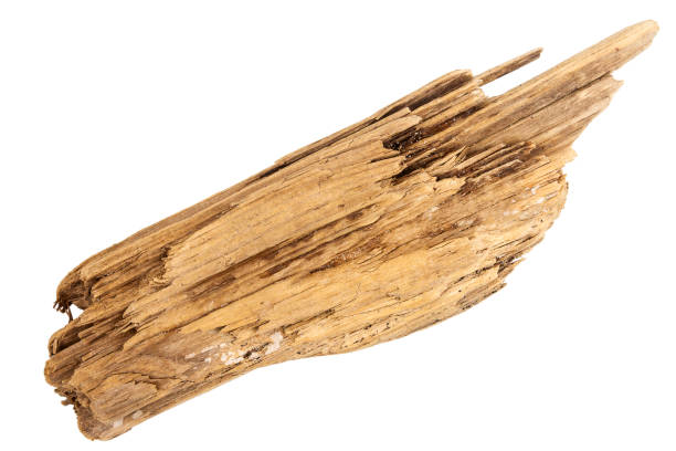 istock Piece of driftwood isolated on white 1332513898