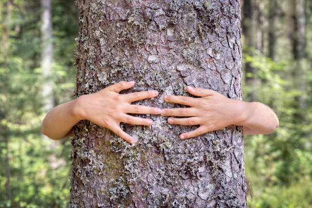 istock Tree hugging, little boy giving a tree a big hug 1332514495