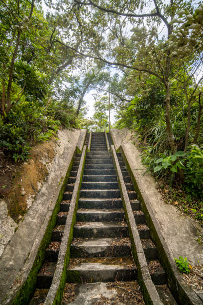 istock The stone steps on the avenue 1332514663