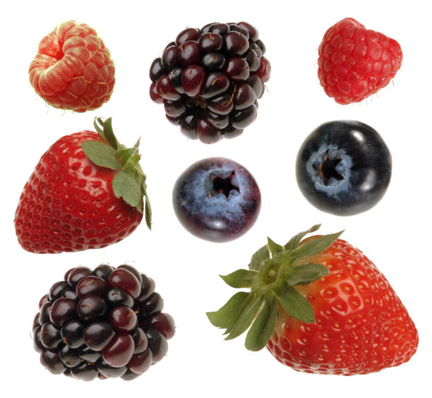 istock fruits of the forest isolated on white 1332516519