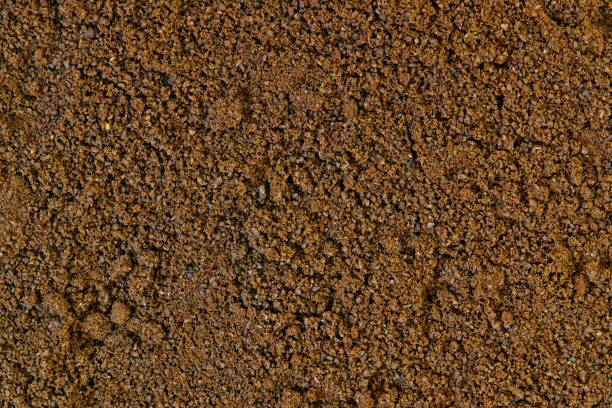 istock Arabica espresso coffee grains textured closeup image. 1332516528