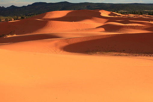 Coral Pink Sand Dunes at sunset, Utah