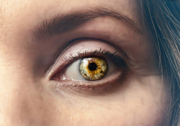istock Woman's eye is bright, close-up. Dramatic contrast 1332523353