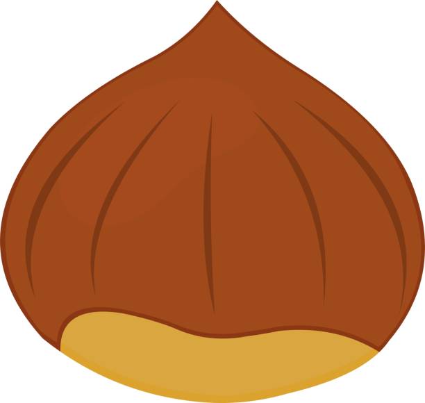 ilustrações de stock, clip art, desenhos animados e ícones de vector illustration of emoticon of a chestnut - chestnut tree