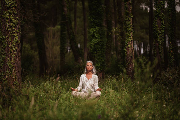 hermosa mujer madura con el pelo blanco meditando en la posición sukasana en medio de un hermoso bosque verde bajo un rayo de sol - praying forest freedom tree fotografías e imágenes de stock
