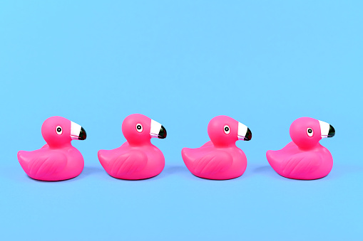 Four pink rubber duck flamingos in a row on blue background with copy space