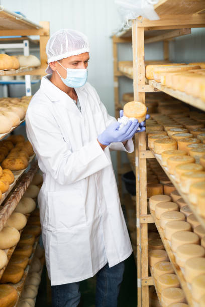 istock Cheesemaker in mask controlling maturing process of cheese wheels 1332531132