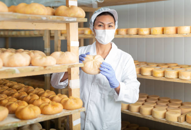 istock Woman cheesemaker in mask checking aging process of goat cheese 1332531145