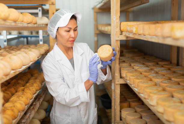 istock Cleaning cheese while it matures at cheese factory 1332531156