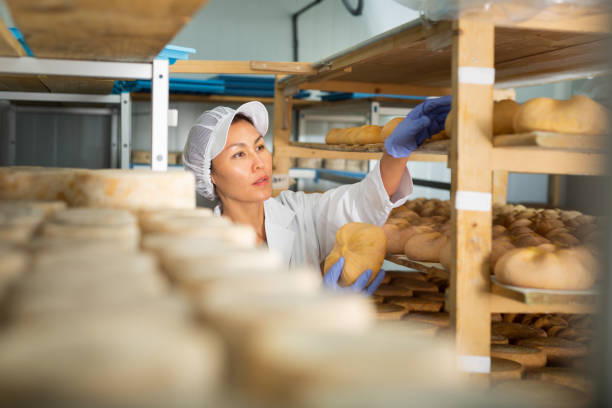 istock Woman cheesemaker checking aging process of cheese in maturing chamber 1332531186