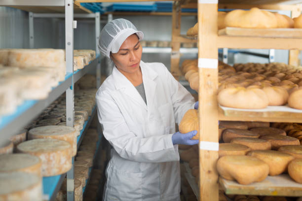 istock Woman cheesemaker checking aging process of cheese in maturing chamber 1332531190
