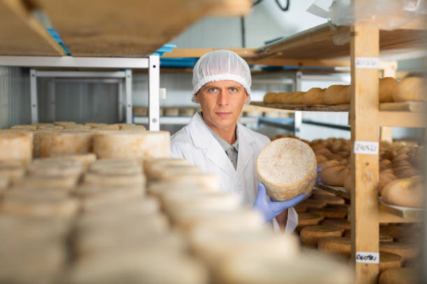 istock Handsome cheese maker checking aging process of goat cheese standing at small cellar. Numbers on white pieces of paper are date when cheese was put into ripening chamber 1332531202