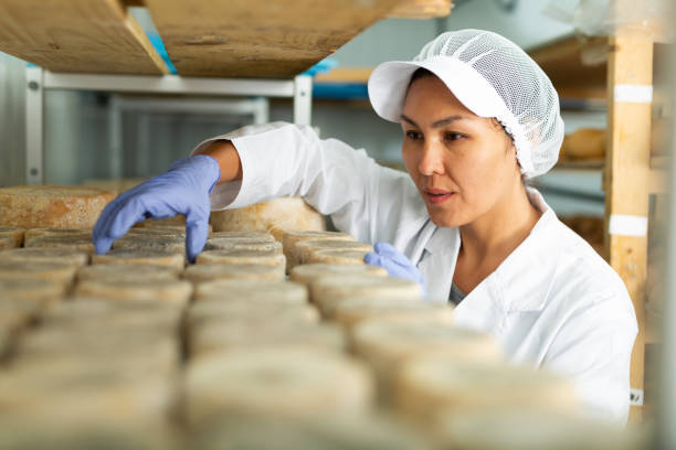 istock Skilled woman controlling maturing process of cheese wheels 1332531206
