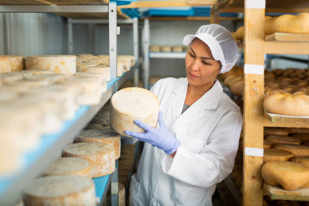istock Woman cheesemaker checking aging process of cheese in maturing chamber 1332531208