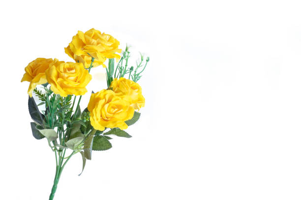 istock Yellow roses bunch isolated on white background. plastic rose flower 1332533495