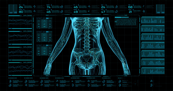 Accurate human skeletal system 3D rendering illustration. Anterior, lateral, posterior and three-quarter front views of full skeleton with male body contours on blue background. Anatomy, osteology concepts.