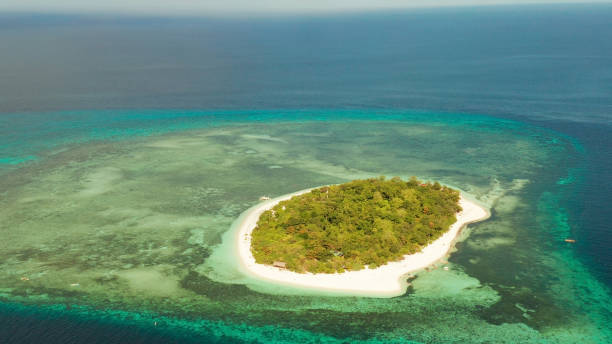 istock Tropical island with sandy beach. Mantigue Island, Philippines 1332539310
