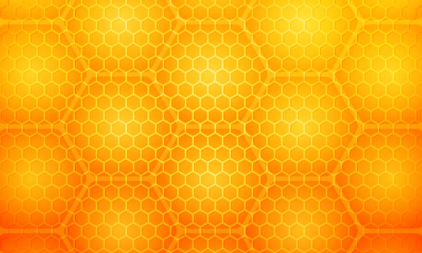 illustrations, cliparts, dessins animés et icônes de nids d’abeilles jaunes de ruches de miel. texture des cellules hexagonales. - ruche