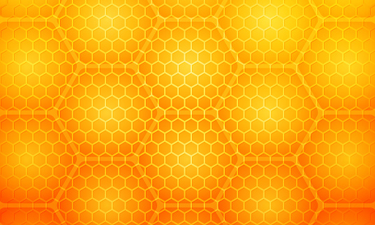 Yellow honey hive honeycombs. Hexagonal cells texture. Honeycomb grid honeyed. Vector illustration.