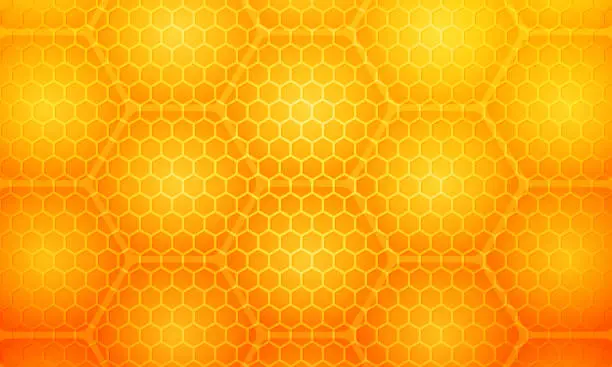 Vector illustration of Yellow honey hive honeycombs. Hexagonal cells texture.