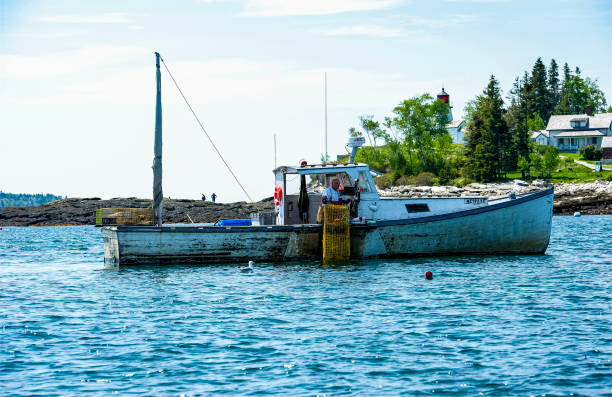A collection of small fishing boats gently floating in the calm waters of Cascais harbor. The foreground showcases traditional lobster traps, highlighting the local fishing culture in this coastal Portuguese town.
