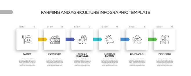 Farming And Agriculture Related Process Infographic Template Process ...
