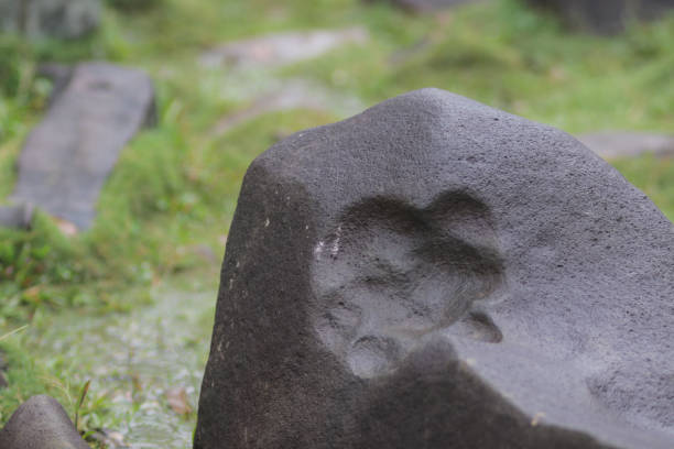 Tapak maung or tiger footprints on a stone in mount padang (gunung padang) megalithic site Cianjur, West Java, Indonesia.