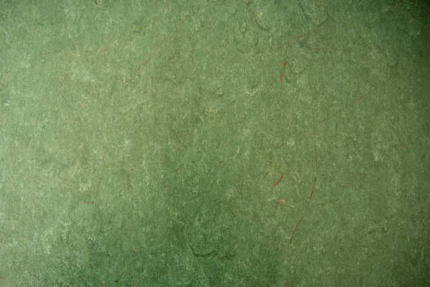 Green linoleum bottom as background or texture