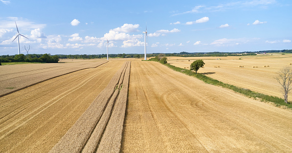 Wind turbine surrounded by wheat field. Ripe wheat at harvest time