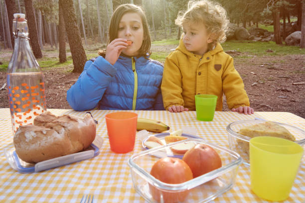 istock Brothers on picnic in park. 1332554197