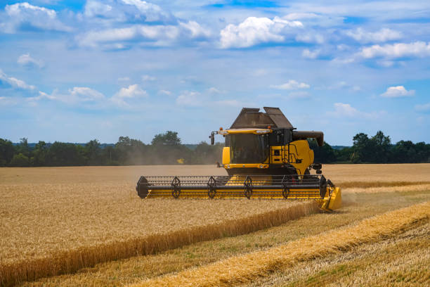 istock Big combiner working in a field. Harvesting wheat by big agriculture machine. 1332555217