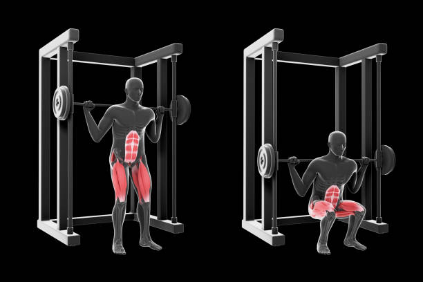 3d иллюстрация squat multipower - crouching exercising anatomy human muscle стоковые фото и изображения
