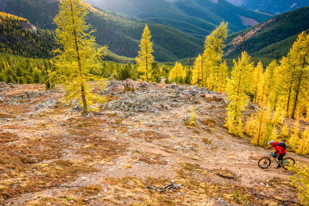 istock View of mountain biker traversing mountain ridge 1332555681
