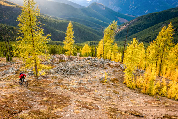istock View of mountain biker traversing mountain ridge 1332555682