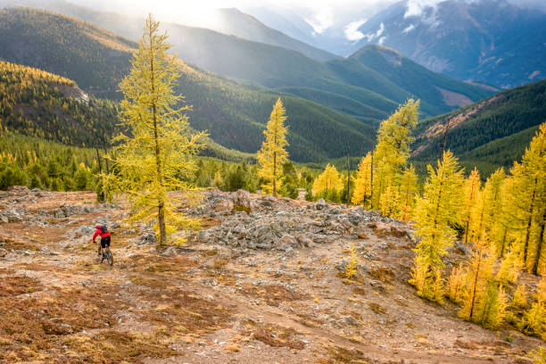 istock View of mountain biker traversing mountain ridge 1332555686