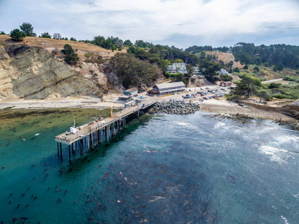 point arena pier in mendocino, kalifornien - mendocino county northern california california coastline stock-fotos und bilder