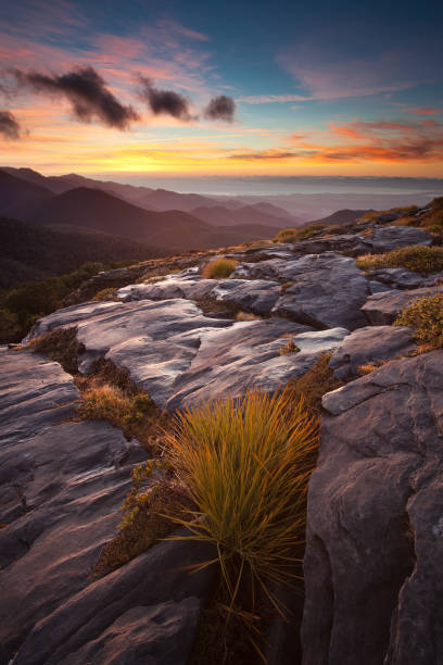 istock Mount Arthur, Kahurangi National Park 1332565620